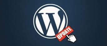 Cập nhật phiên bản wordpress và plugin mới